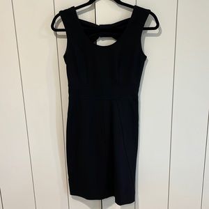 paige black label office dress